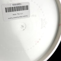 Dynamic Discs Supreme Fugitive, 173g