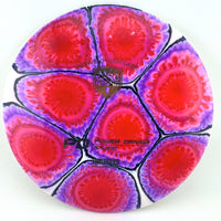 Discmania S-Line PD, 170g