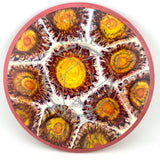 Axiom Fission Crave, 164g