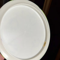 Discraft Z Glo Raptor Seasonal Glo, 168g