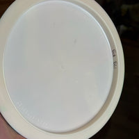 Prodigy 750 F3, 173g