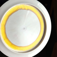 Westside Discs Tournament Ring King, 175g
