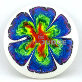 Dynamic Discs Fuzion Judge - #TeamJudge, 174g