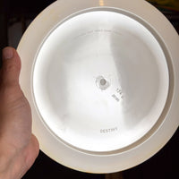Westside Discs Tournament Destiny, 174g