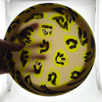 Discmania S Line PD2, 175g