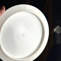 Westside Discs Tournament World, 169g