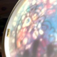 Discraft Glo Z Cicada Seasonal Glo, 173g