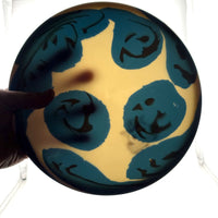 Dynamic Discs Fuzion Culprit, 173g