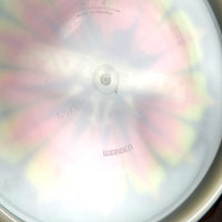 Dynamic Discs Lucid Warden, 174g