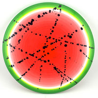 Dynamic Discs Fuzion Felon, 175g