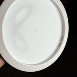 Prodigy 400 F5, 175g