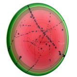 MVP Eclipse Tesla, 170g