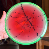 MVP Eclipse Tesla, 170g