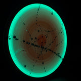 MVP Eclipse Tesla, 170g