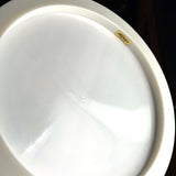 Discraft Z Glo Avenger SS Seasonal Glo, 174g