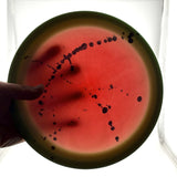 Discmania S-Line Special Blend DD3 - Cloud Breaker 3, 174g