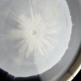 Westside Discs Tournament Ring Warship, 179g