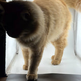 Latitude 64 Opto Core, 176g