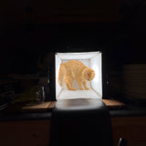 MVP Fission Wave, 146g