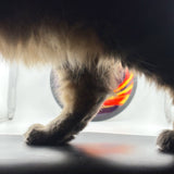 MVP Neutron Wave, 169g