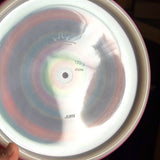 Dynamic Discs Lucid Jury, 173g