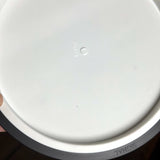 MVP Neutron Signal - 2025 Ice Bowl, 170g