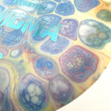 Discmania Neo Enigma, 173g