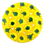 Dynamic Discs Fuzion Escape, 175g