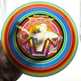 Dynamic Discs Lucid Raider - Robert Burridge Team Series, 174g