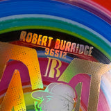 Dynamic Discs Lucid Raider - Robert Burridge Team Series, 174g