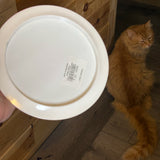 Clash Discs Steady Salt, 170g