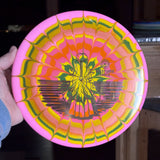 Westside Discs Tournament Ring Maiden, 176g