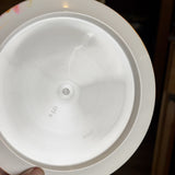 Westside Discs Tournament Giant, 173g