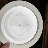 Dynamic Discs Fuzion Raider, 174g