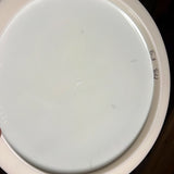 Prodigy 750 F3, 173g