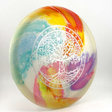 Dynamic Discs Lucid EMAC Truth - 2018 Peter McBride Fundraiser Edition, 178g