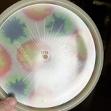 Axiom Total Eclipse Proxy, 171g