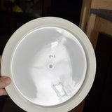 Dynamic Discs Fuzion Felon, 174g