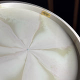 Discraft Recycled ESP Meteor, 168g