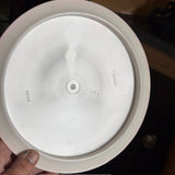Westside Discs Tournament Bear, 174g