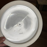Dynamic Discs Fuzion Vandal, 174g