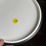 MVP Neutron Detour - C. Fausch Designs - Panda, 177g