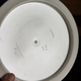 Dynamic Discs Fuzion Escape, 169g