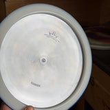 Dynamic Discs Lucid Evader, 172g