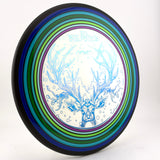 MVP Neutron Detour - Ice Bowl 2025, 170g