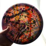Discmania S-Line CD1, 173g