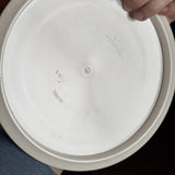 Dynamic Discs Fuzion Truth, 174g
