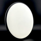 MVP Neutron Signal - Blank