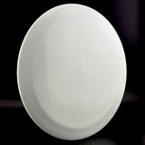 Prodigy 400G F3 - Blank